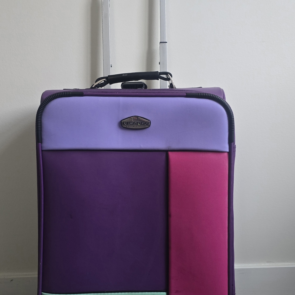 Ricardo Purple and Pink Travel Bag